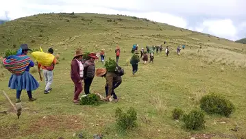 1,330 hectares of conservation