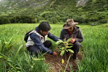 Sembramos Prosperidad